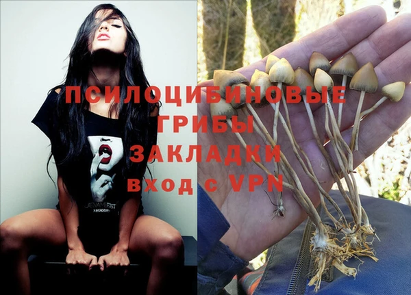 МДПВ Балахна
