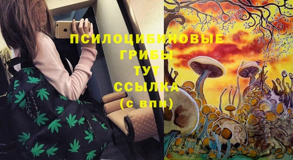 трава Балабаново