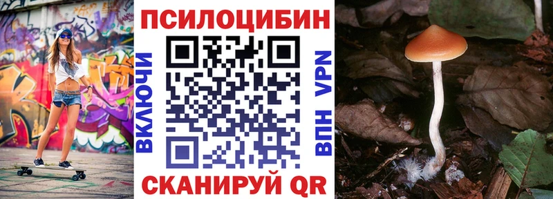Купить закладки  Сычёвка  Галлюциногенные грибы Psilocybine cubensis 